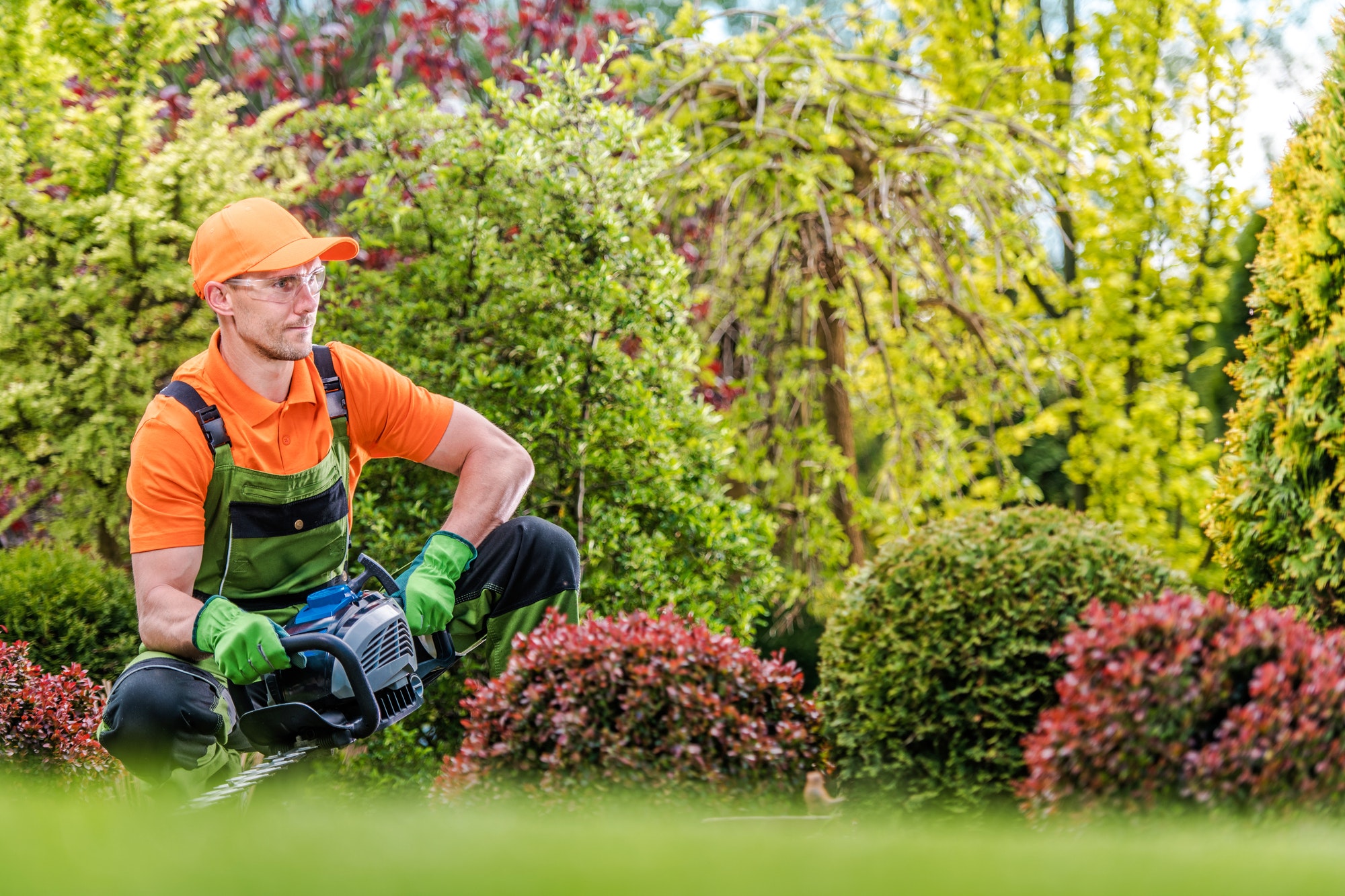 Satisfied Gardener in a Garden